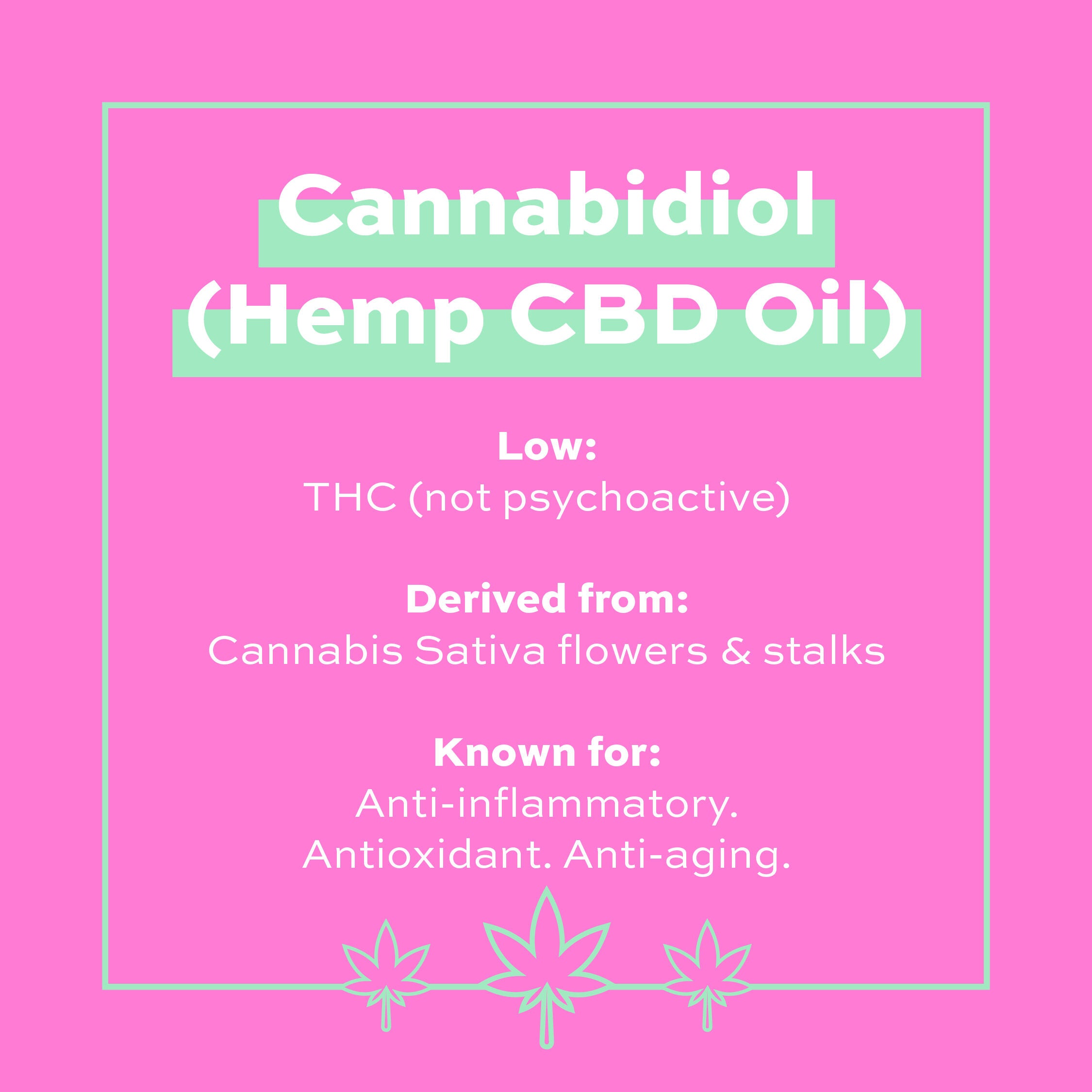 REVOLUTION CBD Rich Nourishing Cream