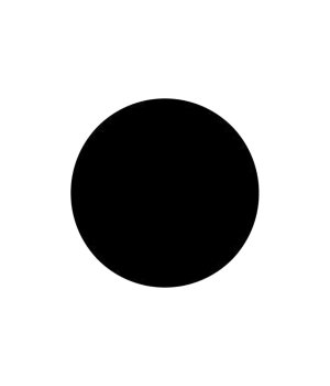 300228529-3.jpg