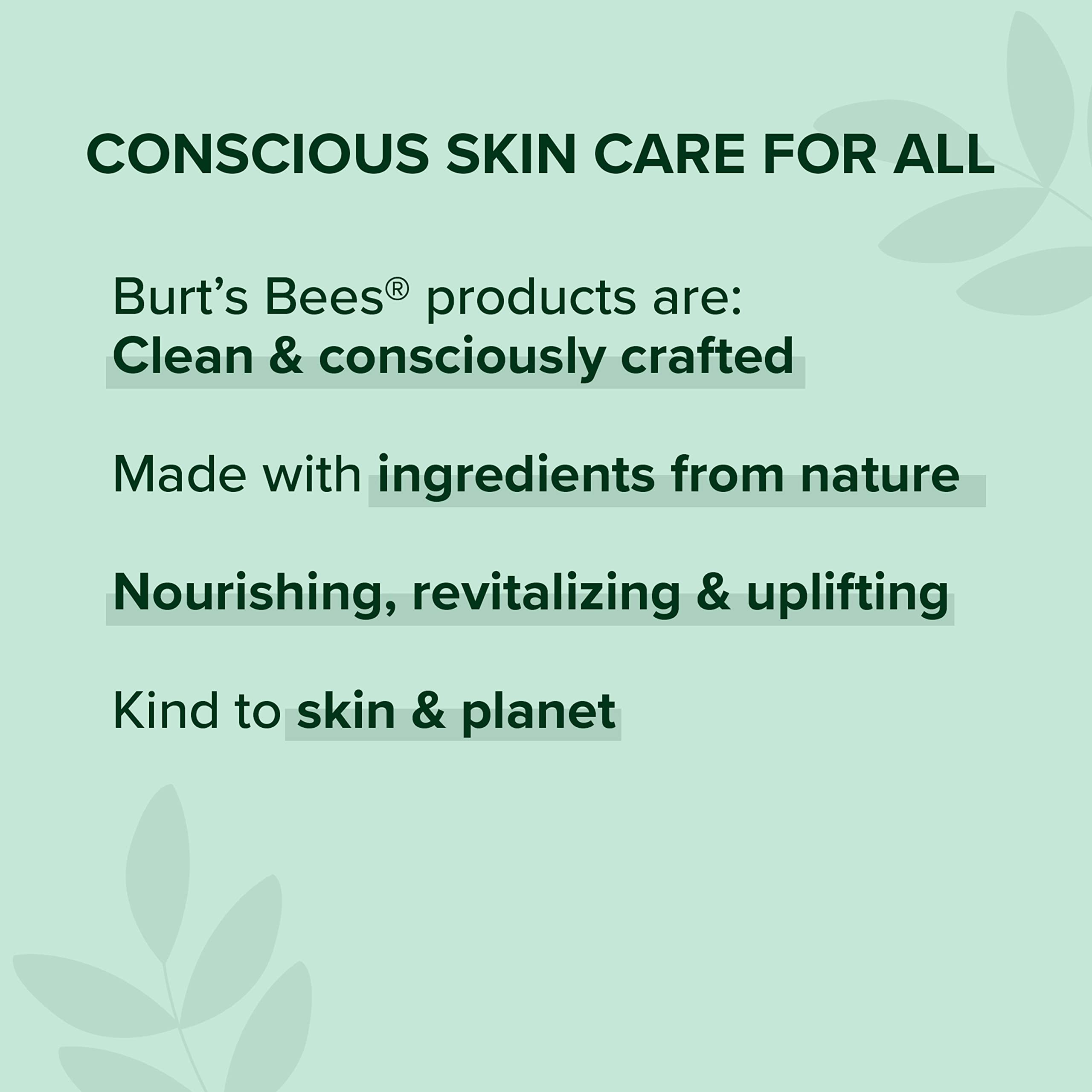 Lápiz labial brillante BURT'S BEES