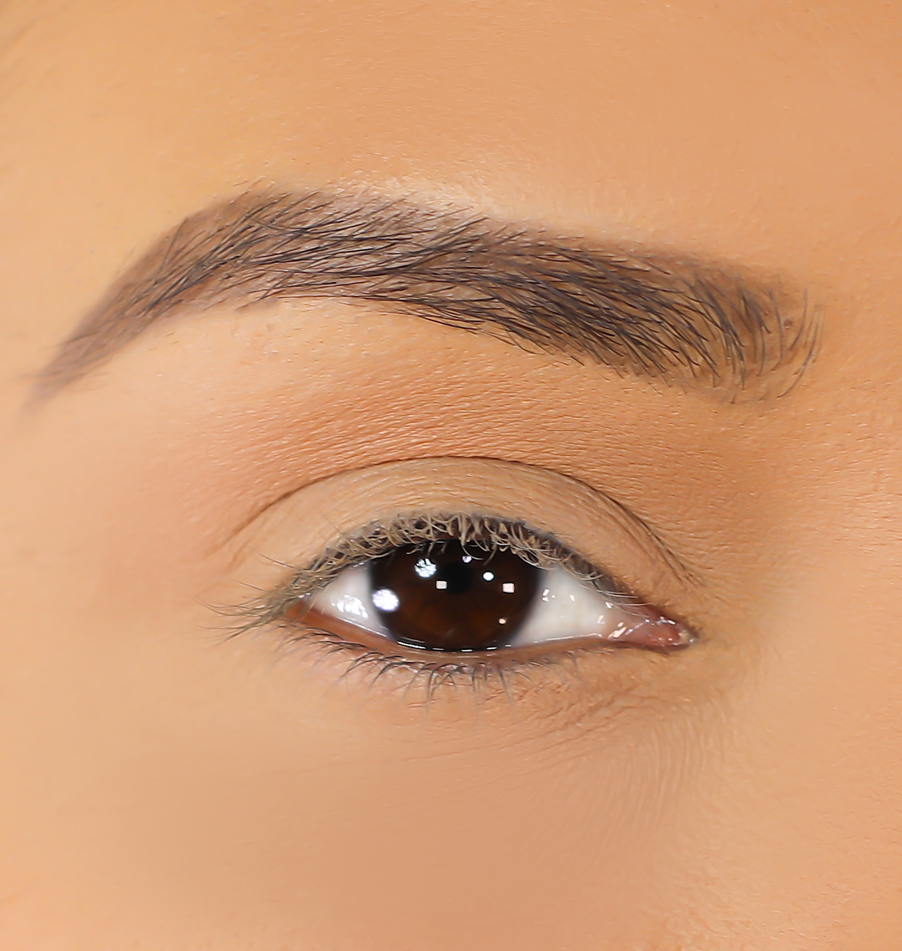 3D Mink Eyelashes - Nicole