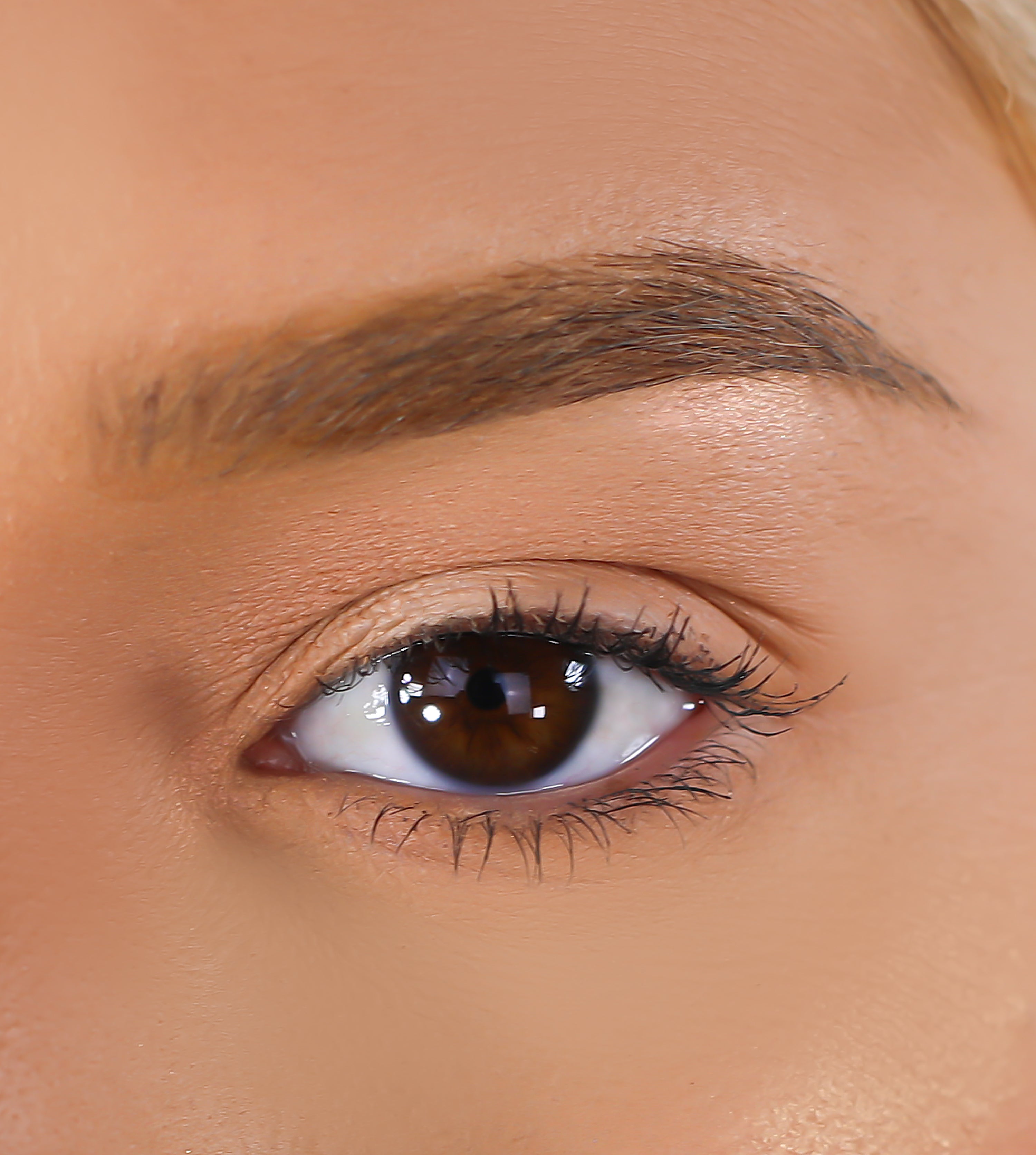 3D Mink Eyelashes - March