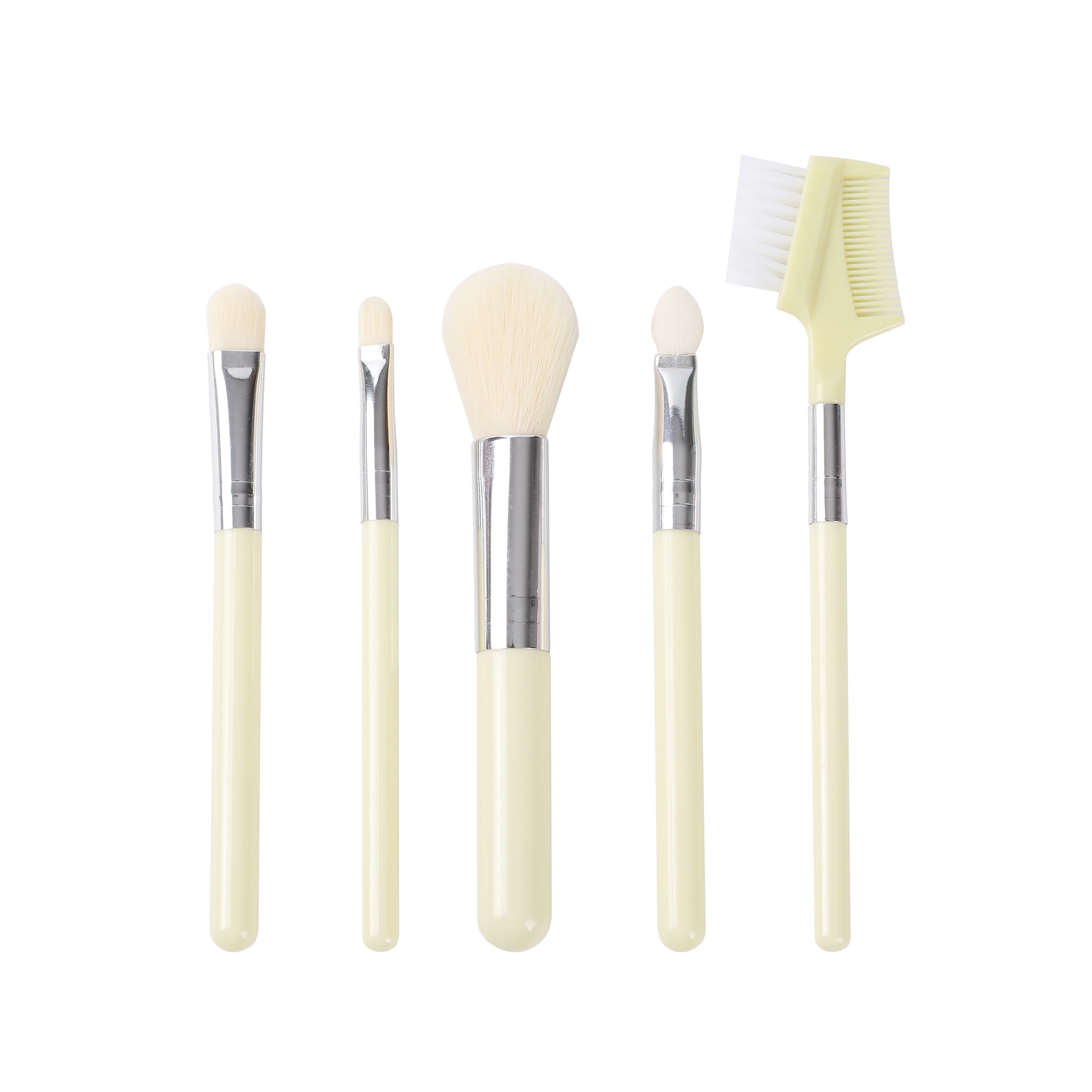 Makeup Brush: 5PCS Set