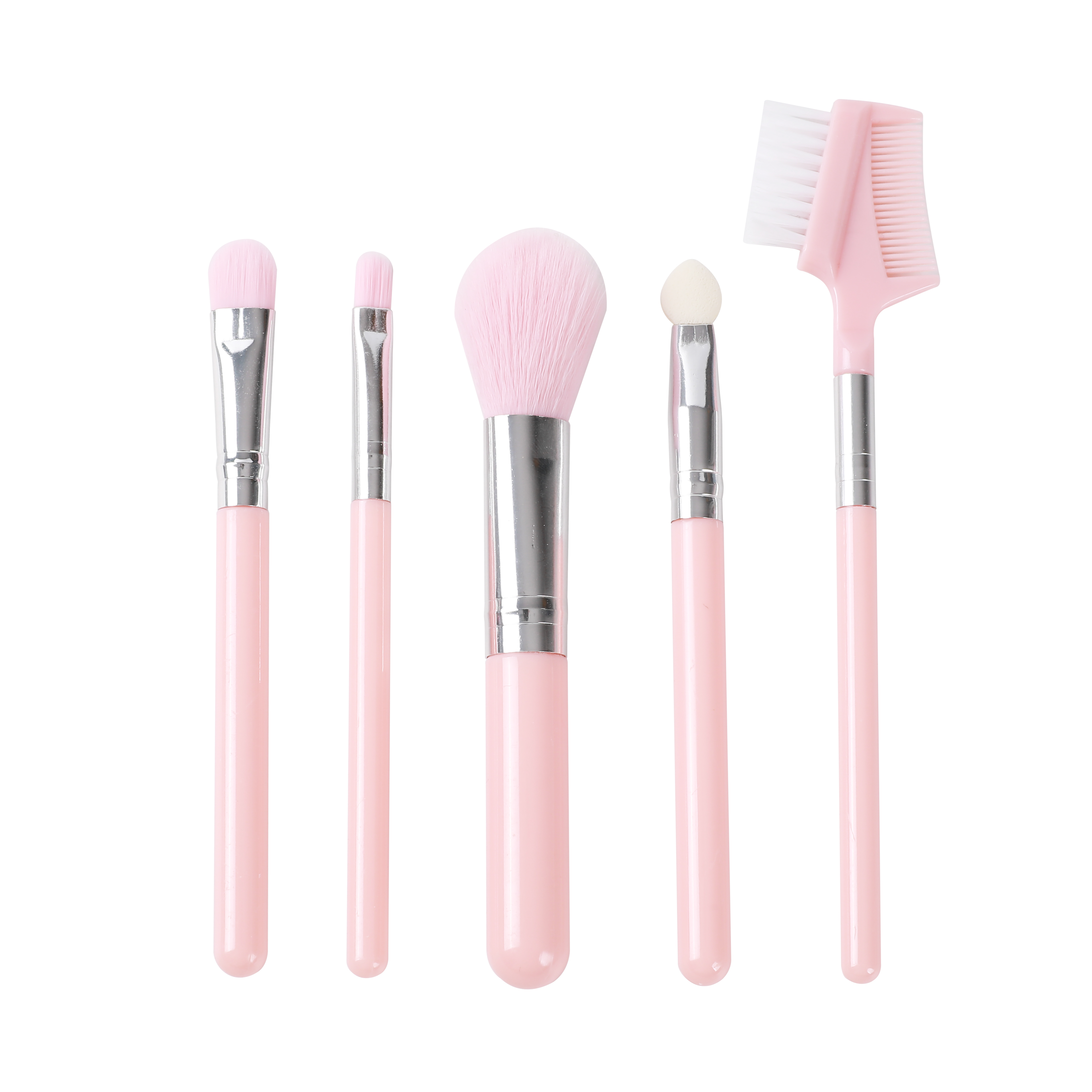 Makeup Brush: 5PCS Set