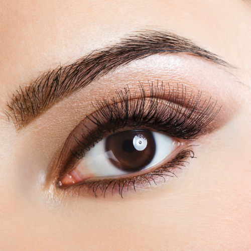 L'OREAL Brow Stylist Prep & Shape Pro Brow Kit - VIAI BEAUTY