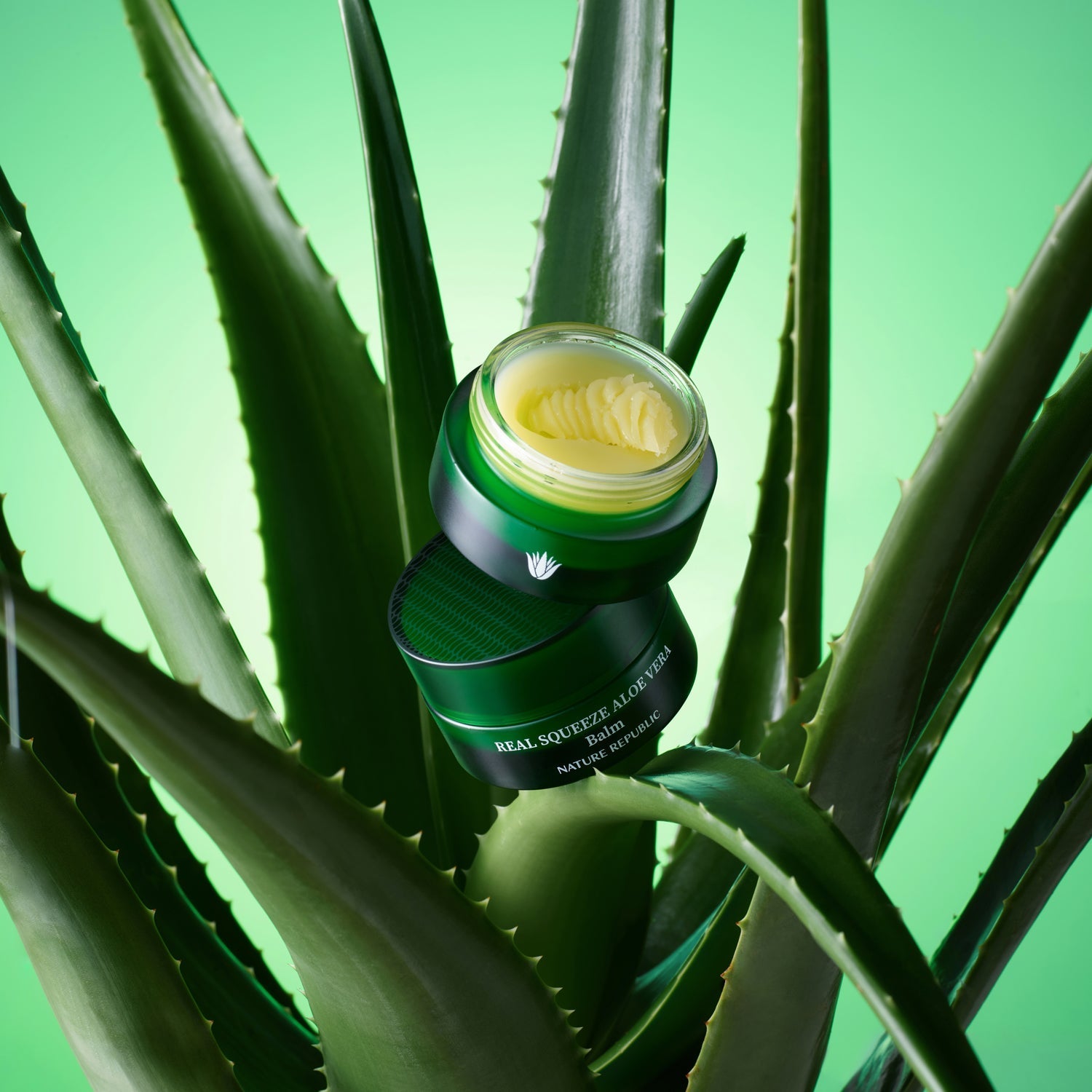 Real Squeeze Aloe Vera Balm