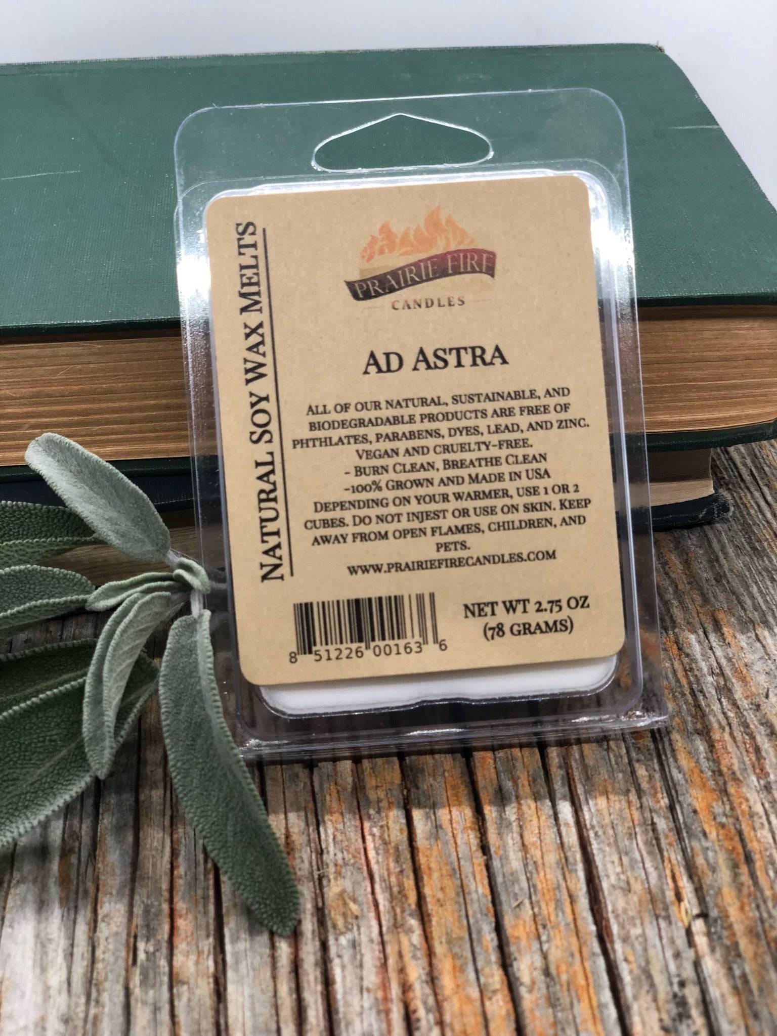 Soy Wax Melts | Wax Cubes | Wickless Candles | Small Batch | Vegan