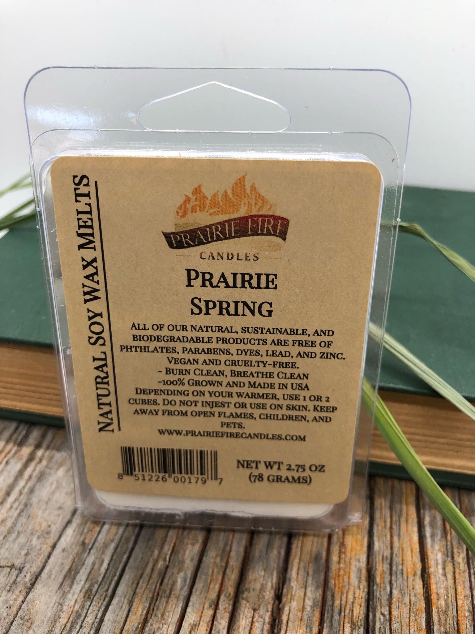 Soy Wax Melts | Wax Cubes | Wickless Candles | Small Batch | Vegan