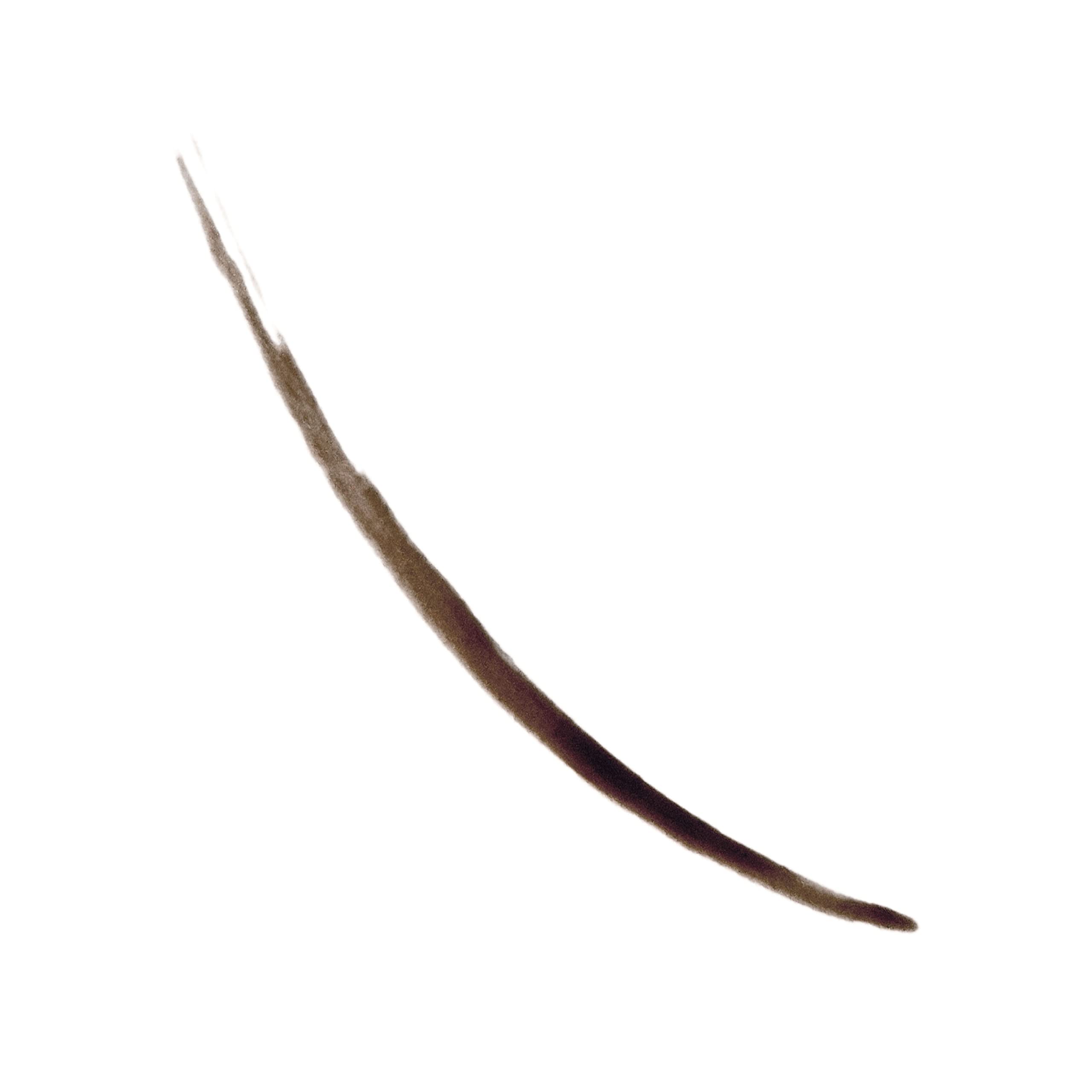 Tinta para cejas semipermanente ColorStay de REVLON