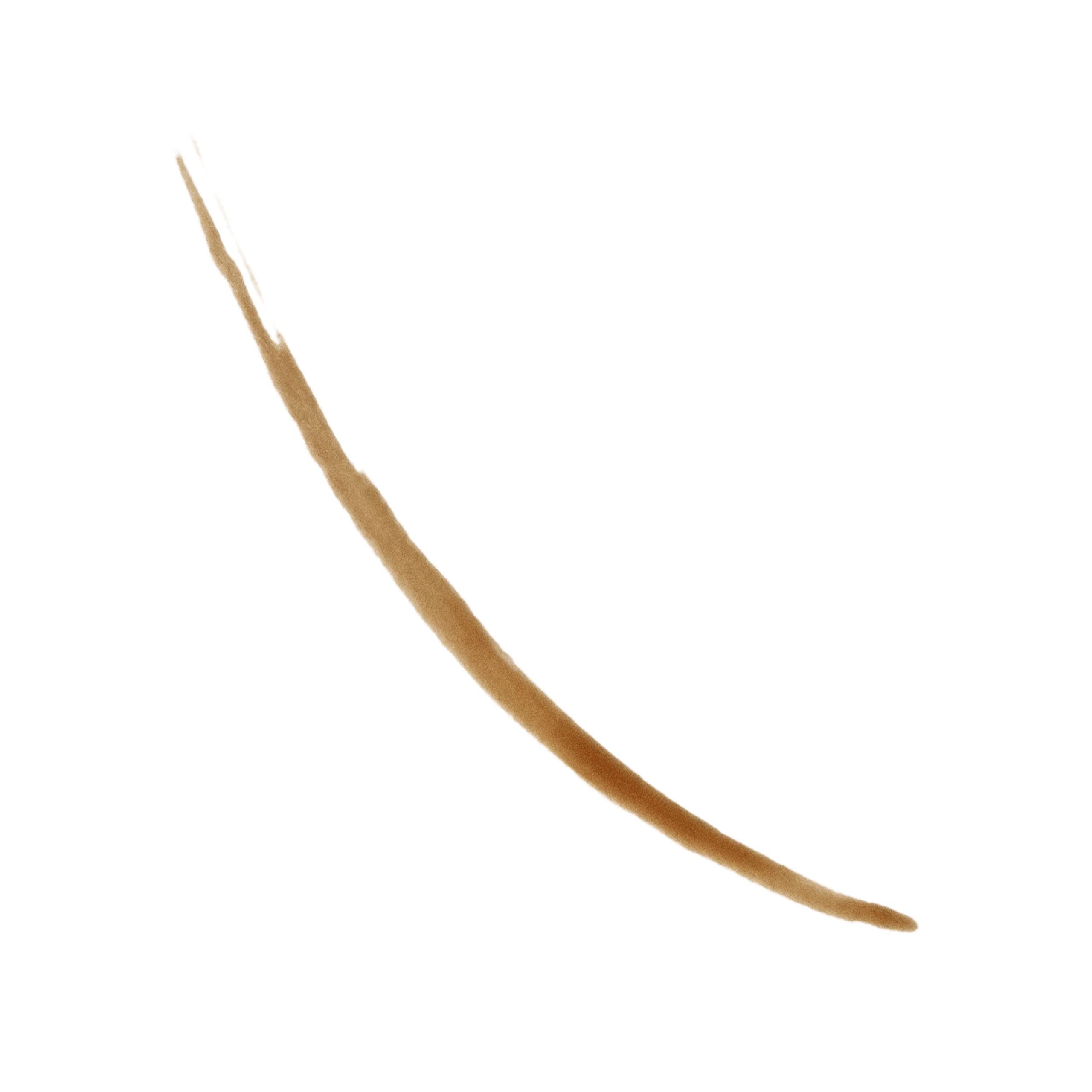 Tinta para cejas semipermanente ColorStay de REVLON