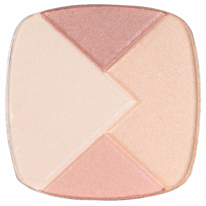 L'OREAL True Match Lumi Powder Glow Illuminator - VIAI BEAUTY
