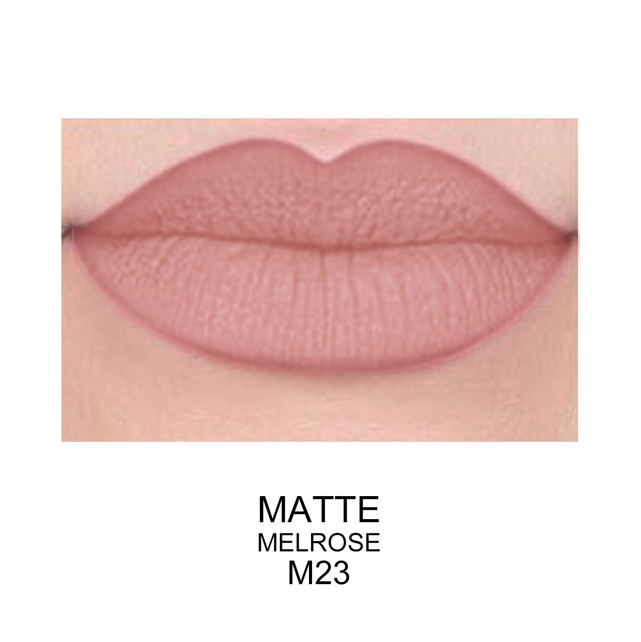 PROLUX Best Matte Long Lasting Lip Gloss - Prolux