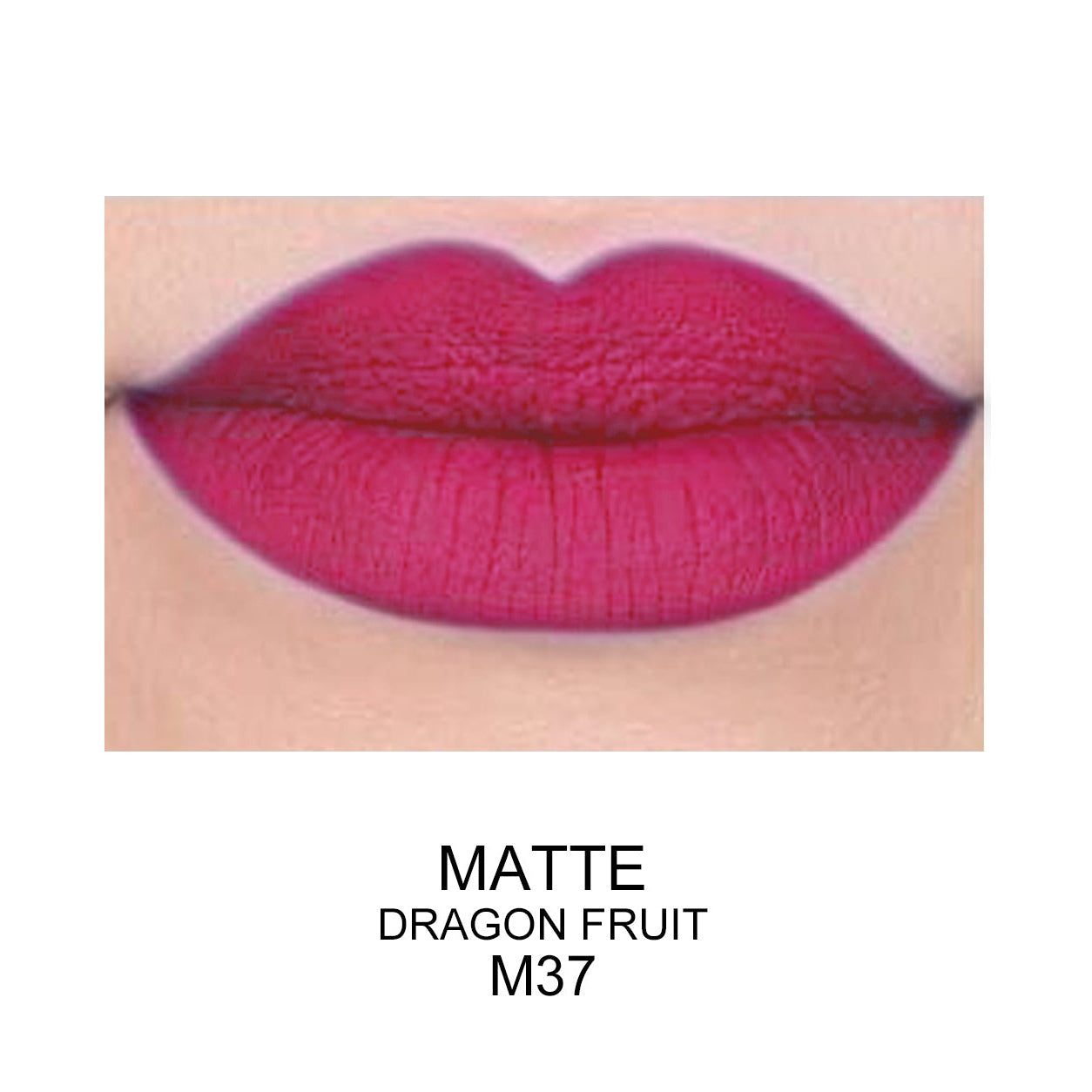 PROLUX Best Matte Long Lasting Lip Gloss - Prolux