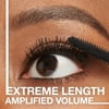 MAYBELLINE Lash Sensational Sky High Tinted Primer Mascara