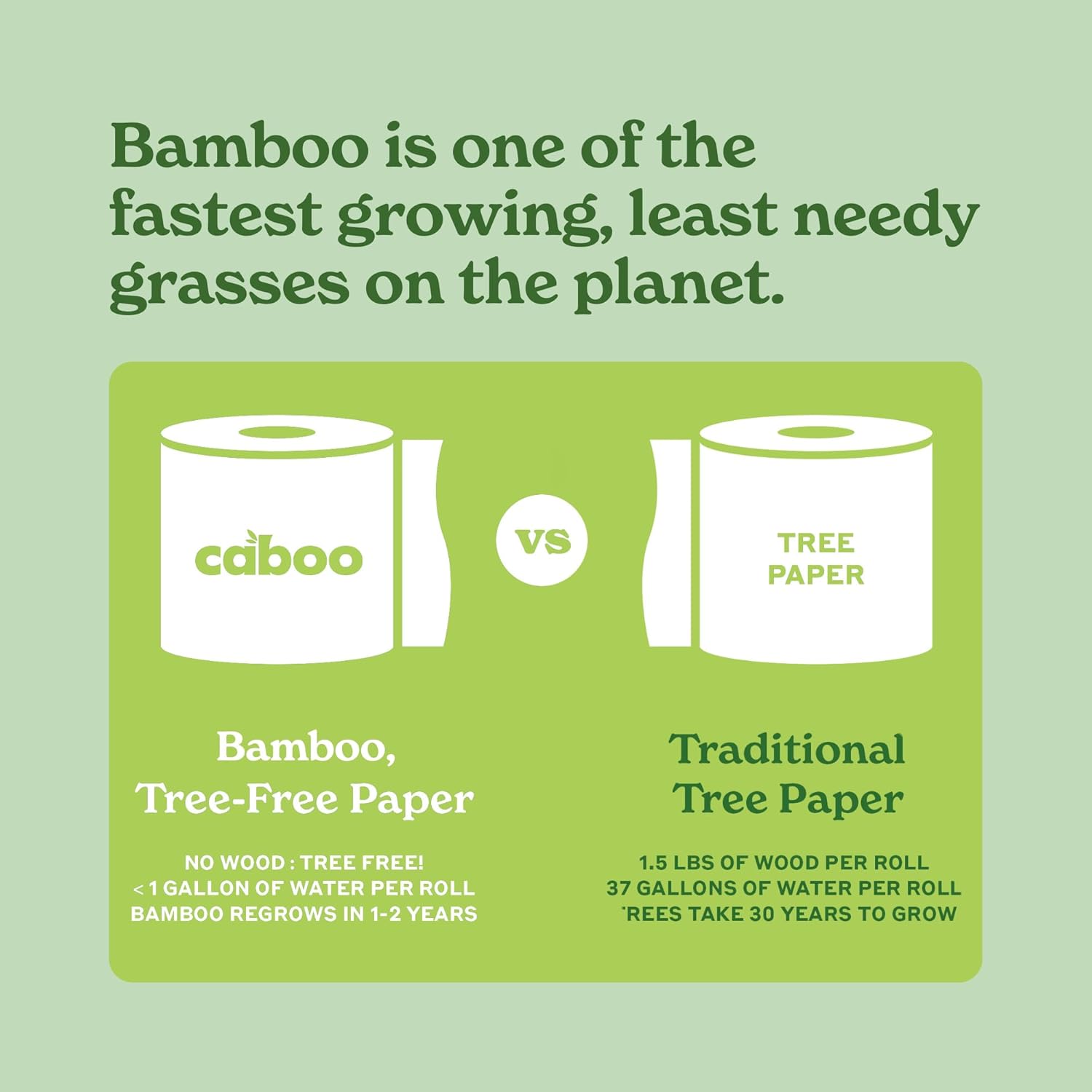 CABOO Flushable Wipes
