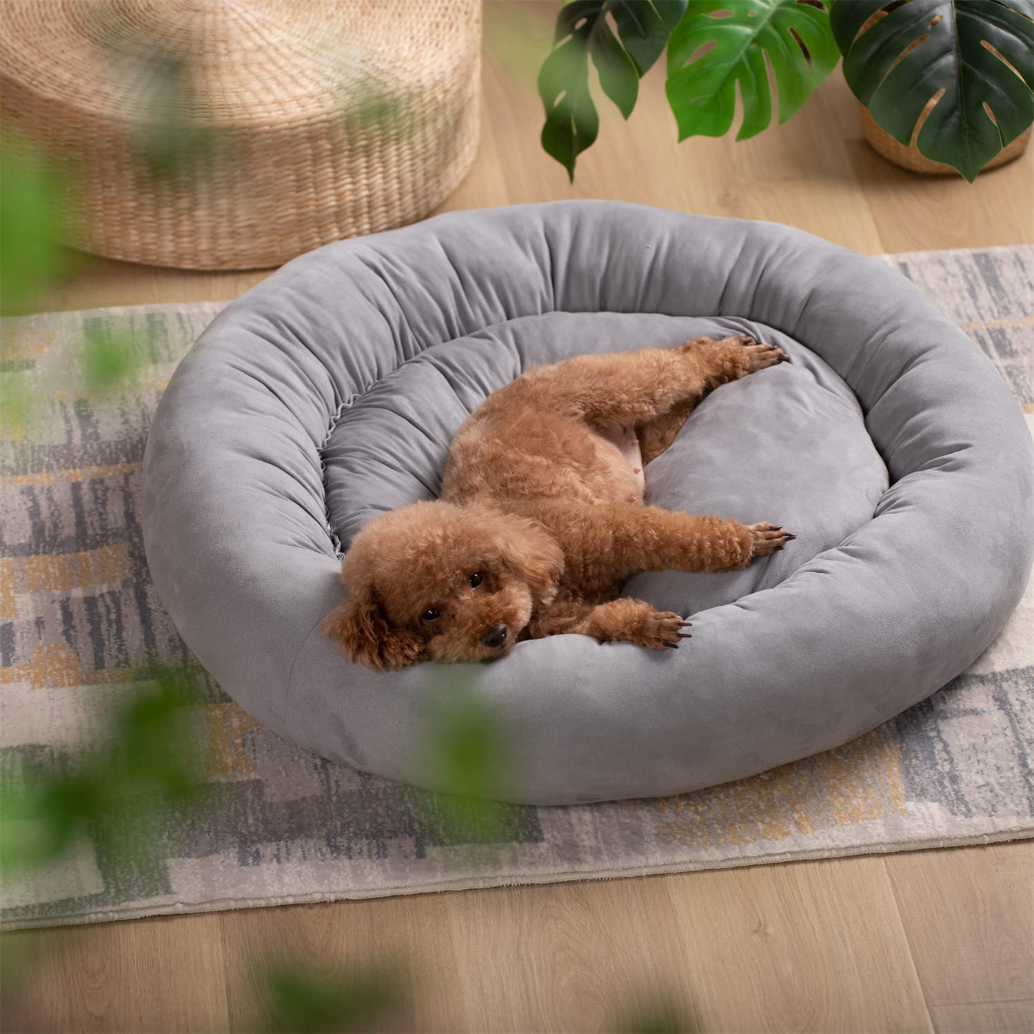 Kasentex Donut Design Round Dog Bed, Anti Slip and Machine Washable