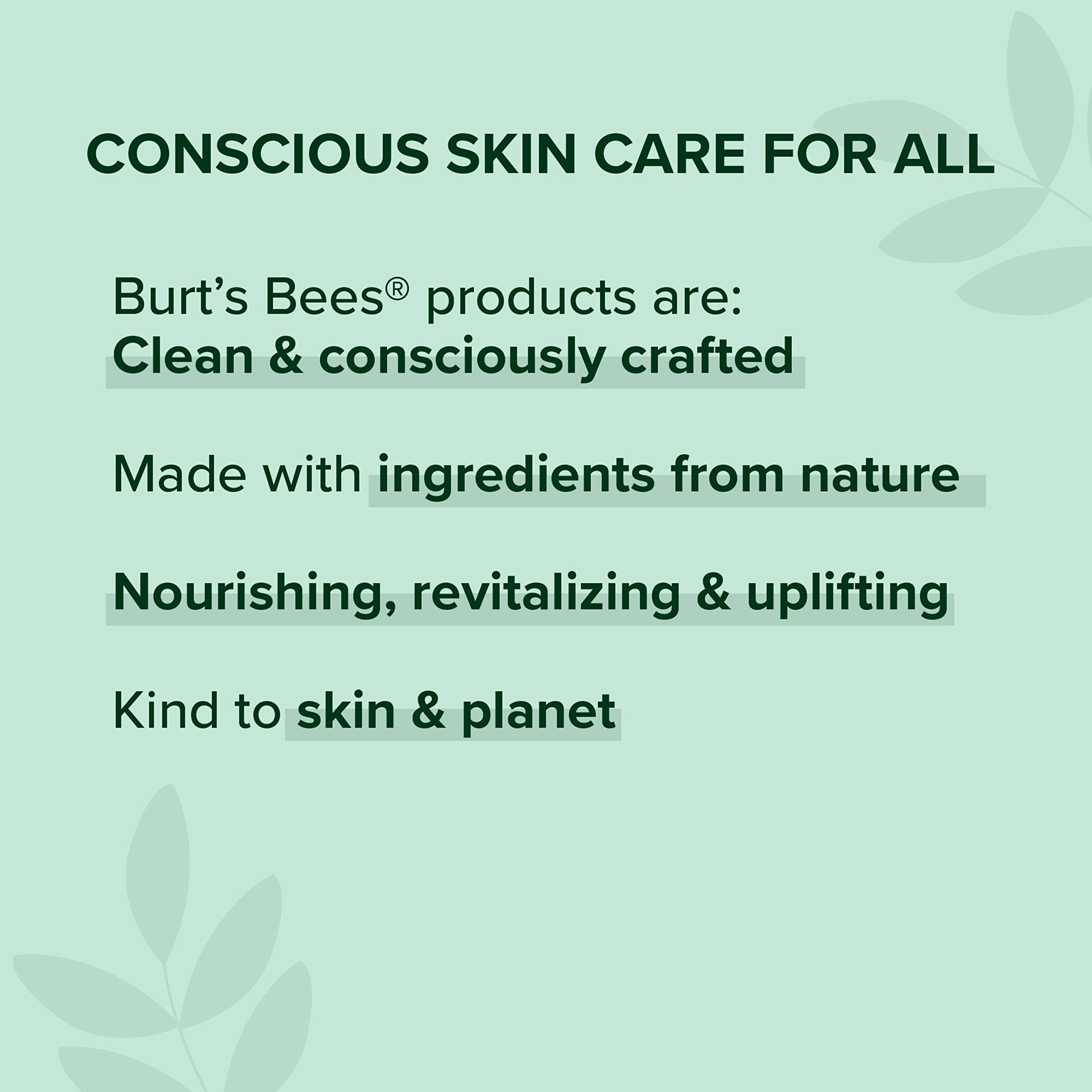 BURT'S BEES 100% Natural Origin Moisturizing Lip Shine