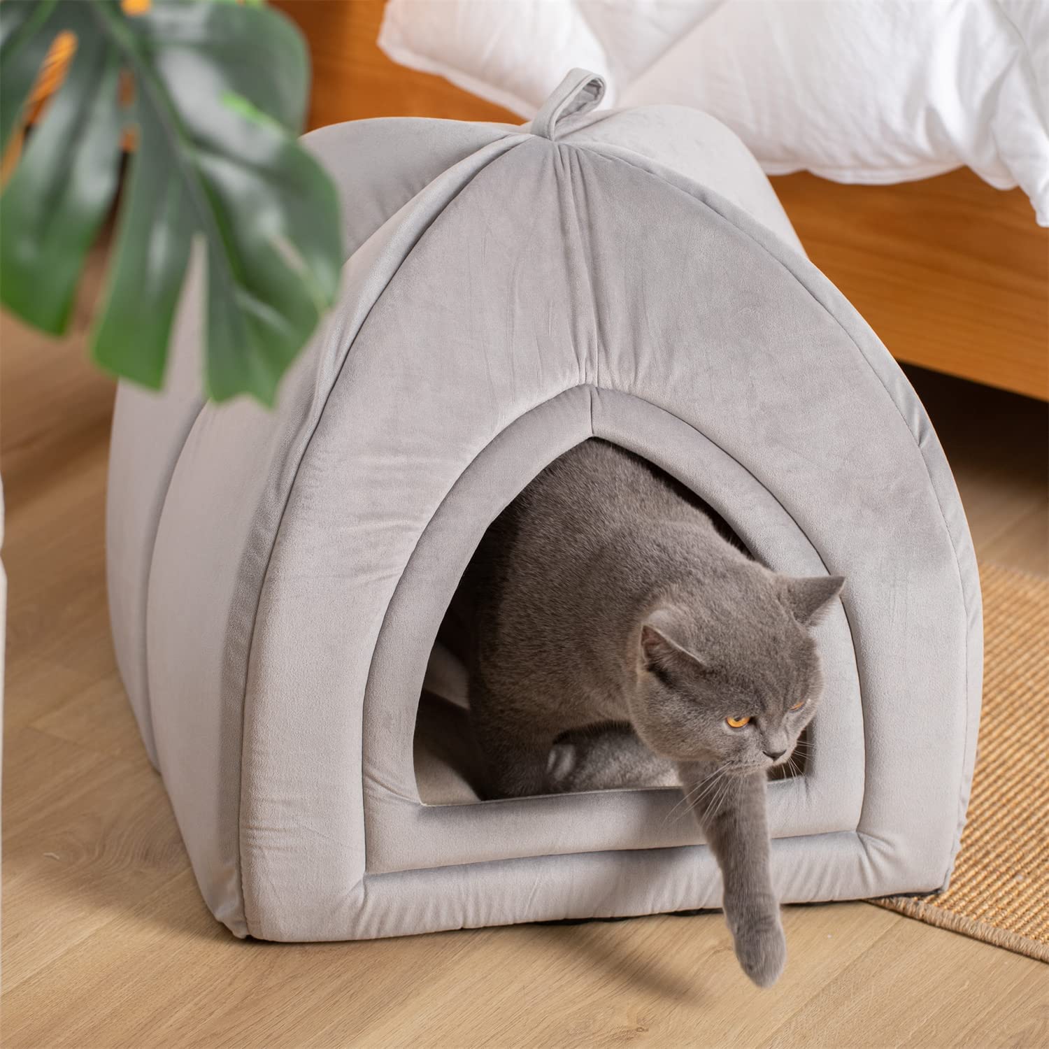 Kasentex Cat Bed, Lovely Tent with Removable Washable Pillow Cushion