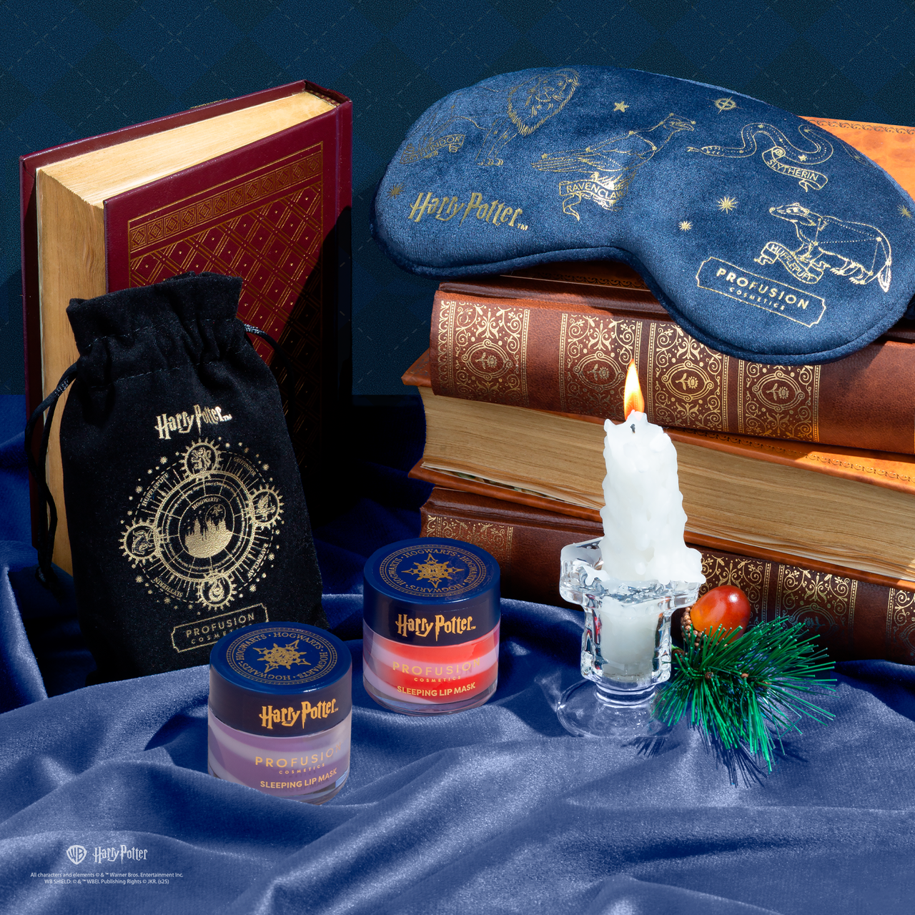 PROFUSION Harry Potter Holiday | Hogwarts™ Holiday Night Set