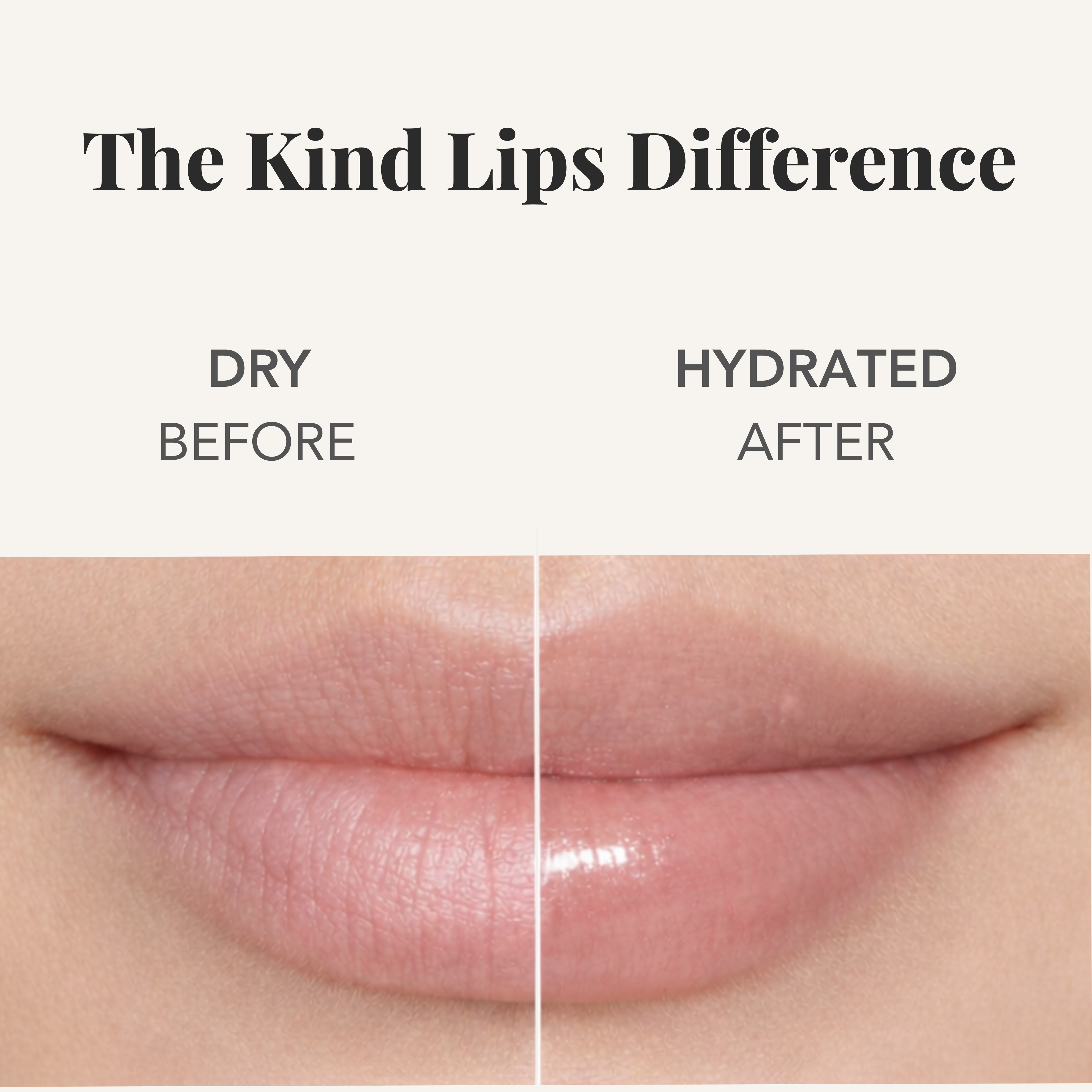 3 Pack Variety Organic Lip Balm