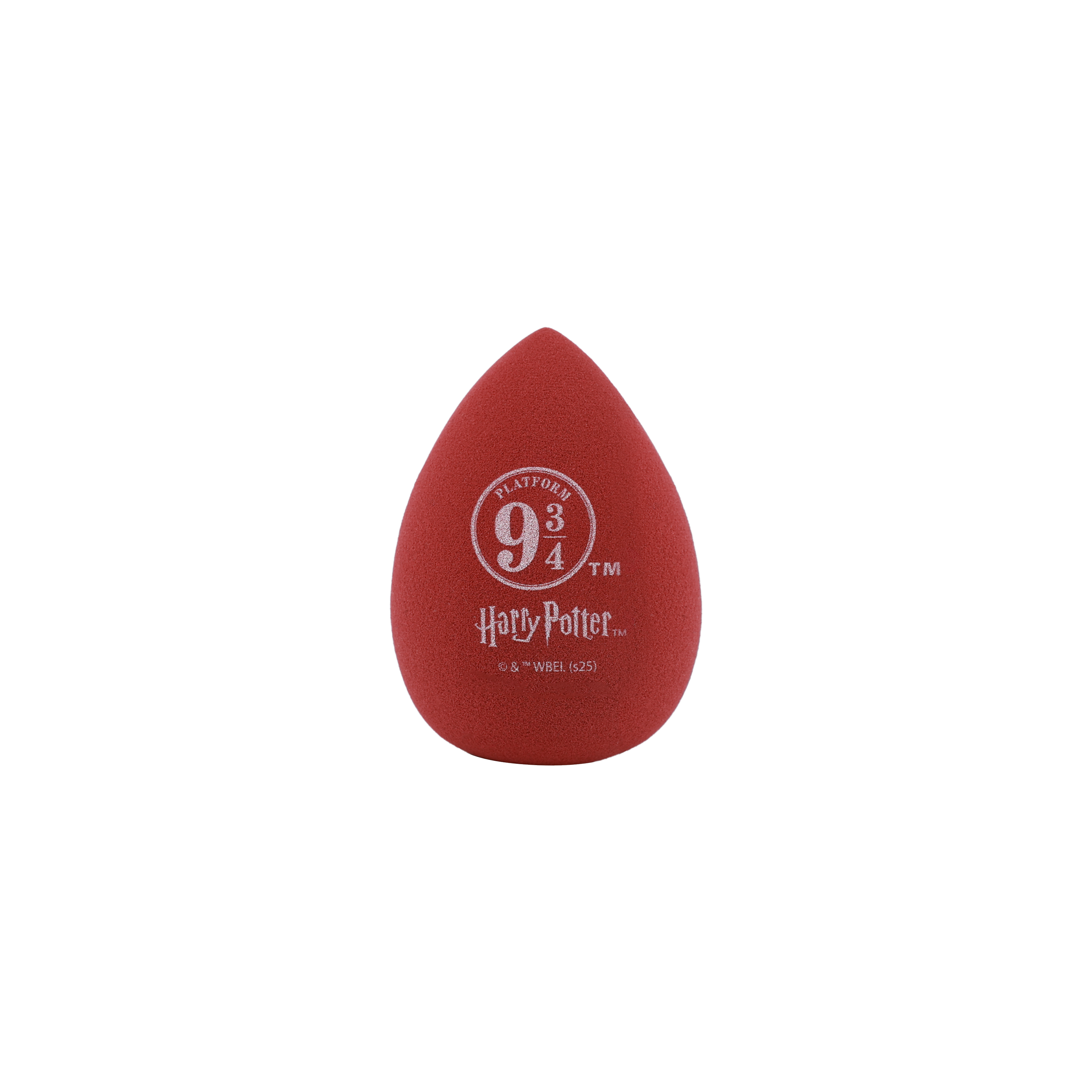 Harry Potter Holiday | Hogwarts™ Express Sponge Set