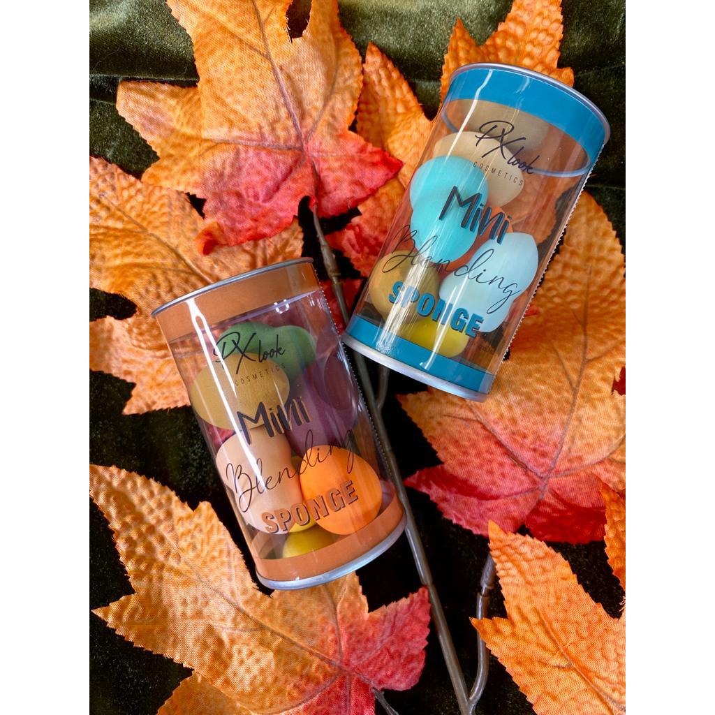 PROLUX Fall Mini Blending Sponge