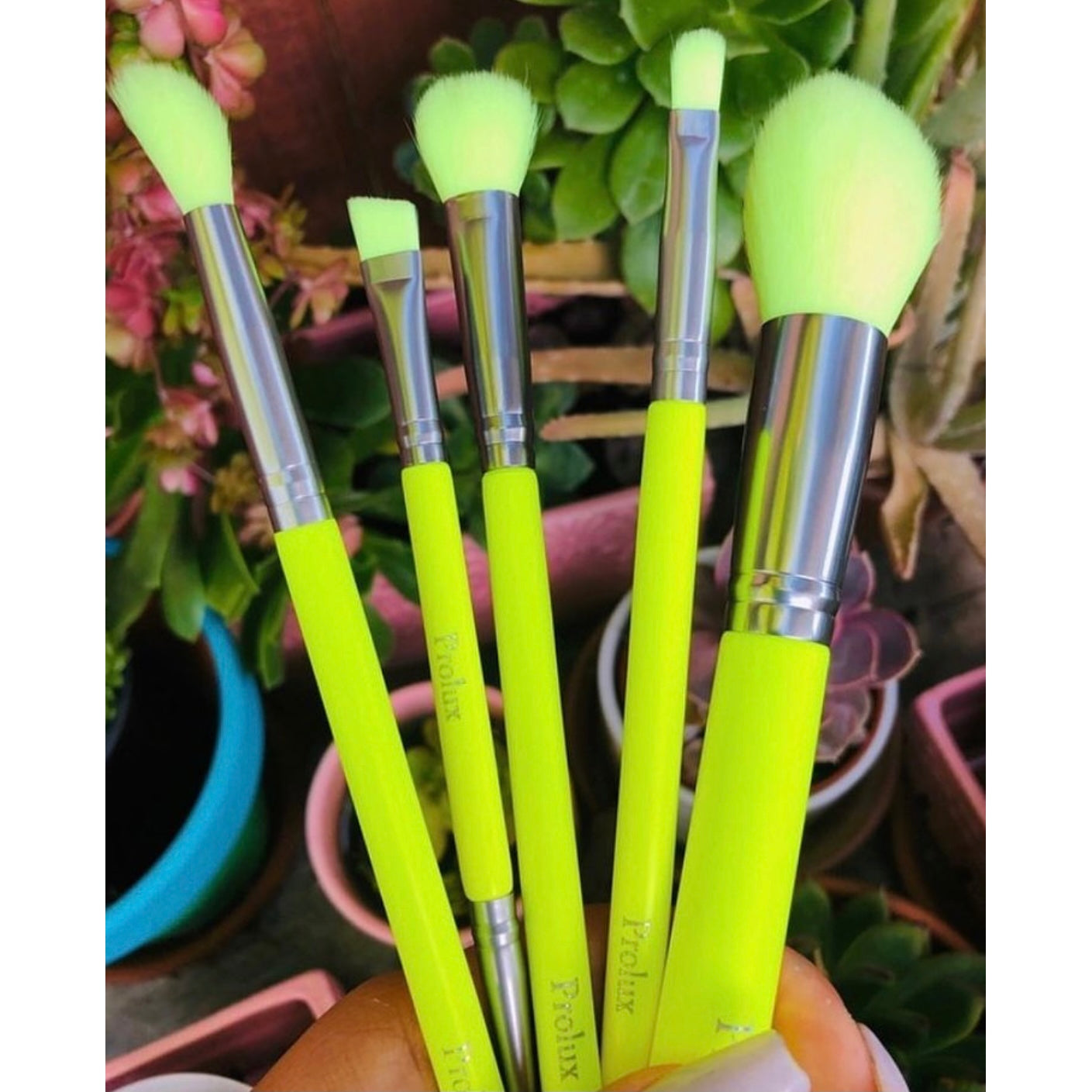 PROLUX Deluxe 5 Piece Neon Brush Set