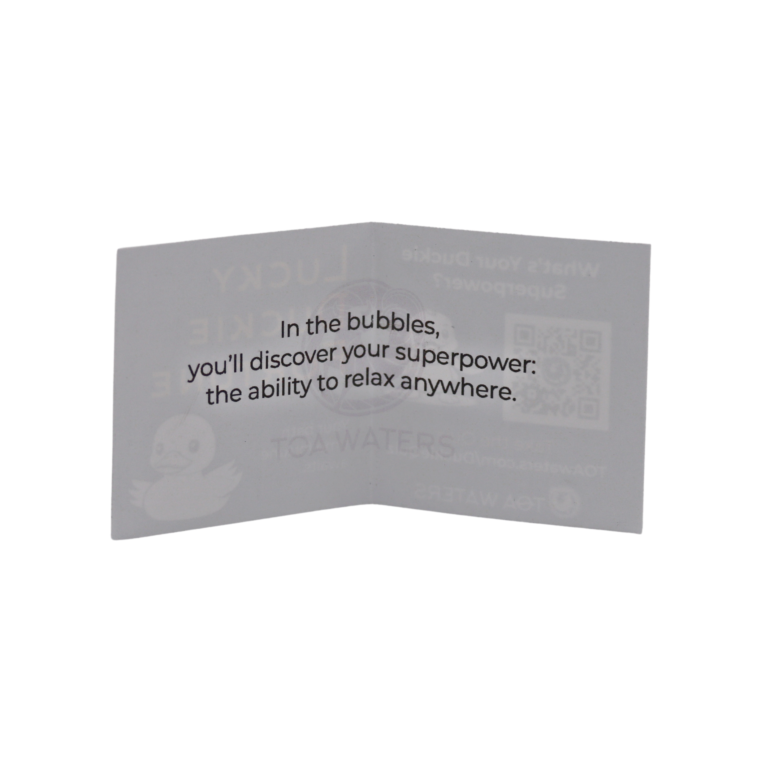 Lucky Duckie Fortune