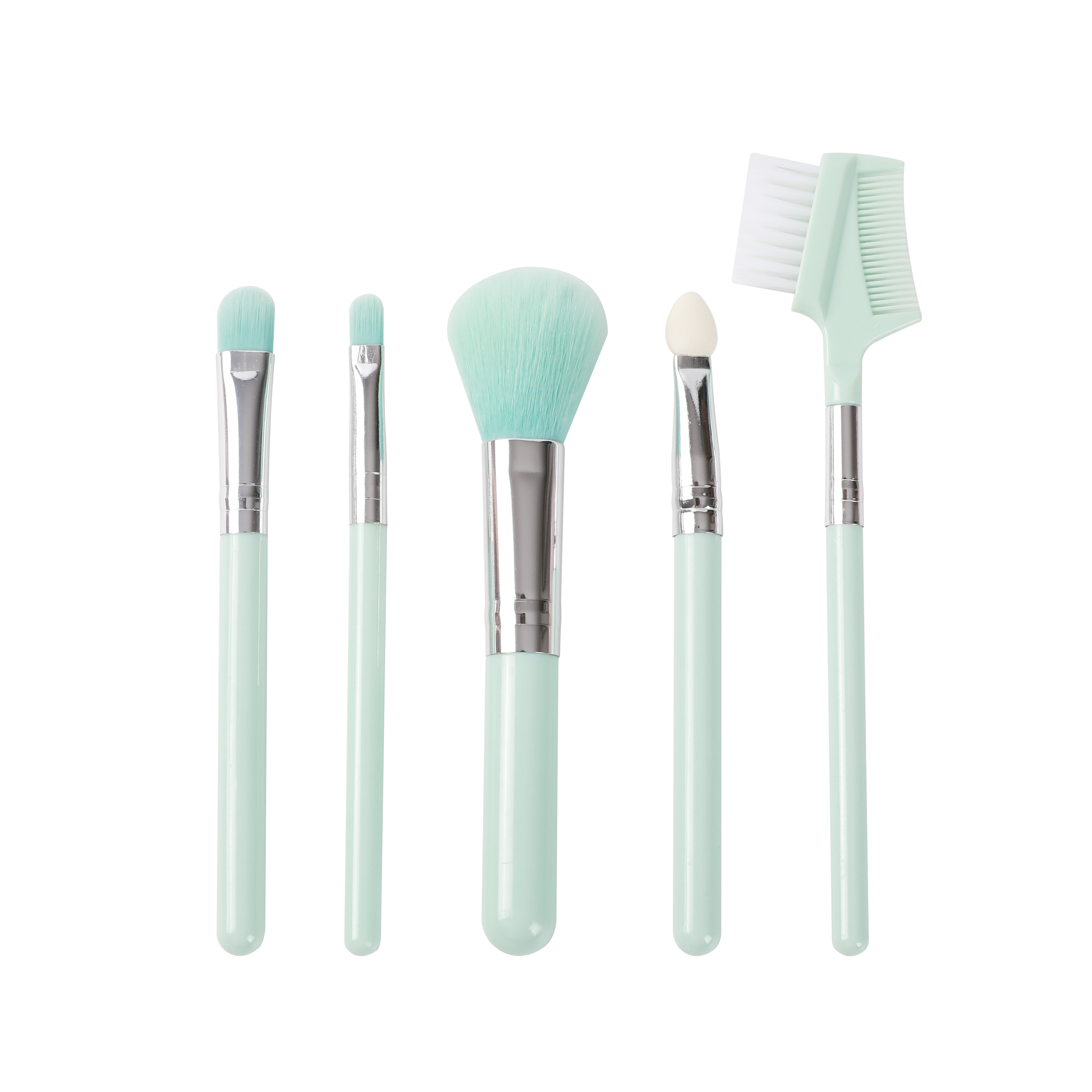 Makeup Brush: 5PCS Set