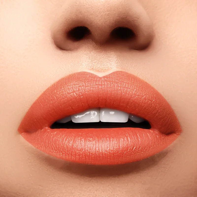 PROFUSION Perfect Pout | Soft Matte Lip Tint