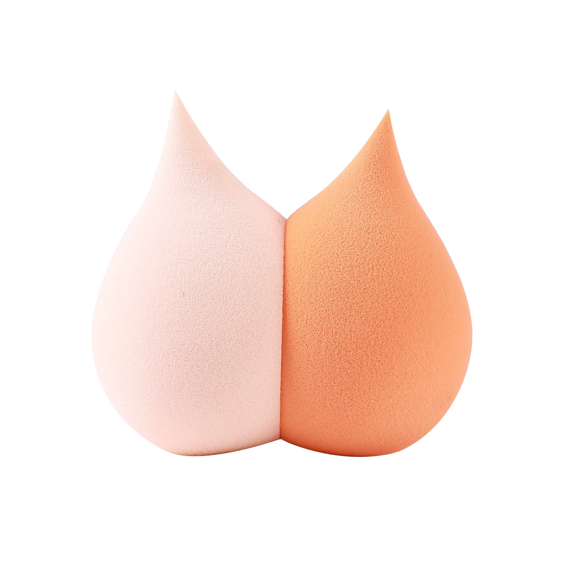PROLUX 2 in 1 Cat Sponge Set