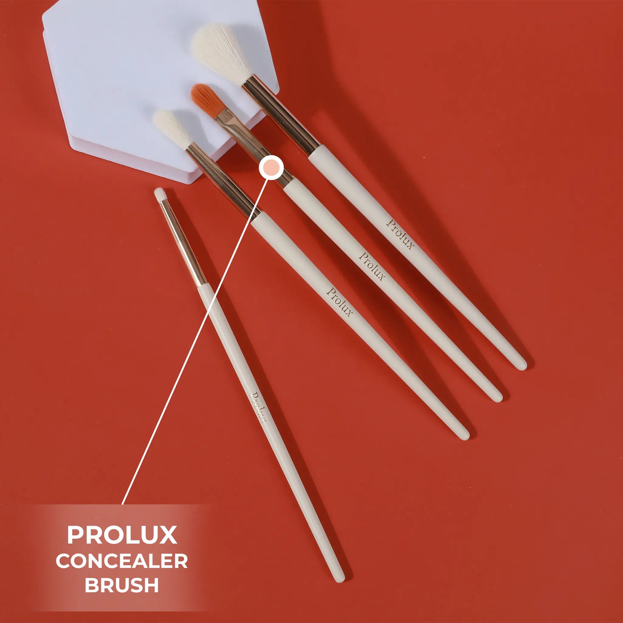 Prolux Makeup Concealer Brush