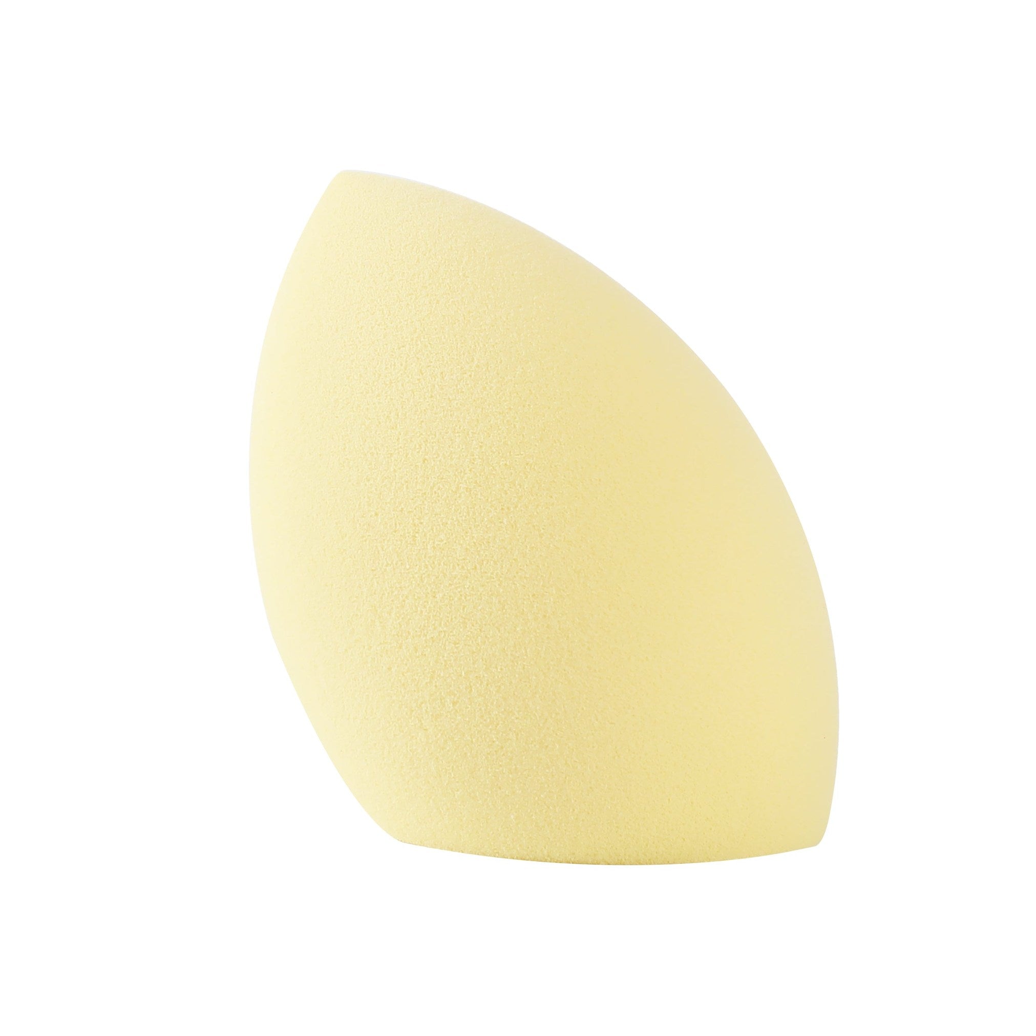 Blending Sponge Set