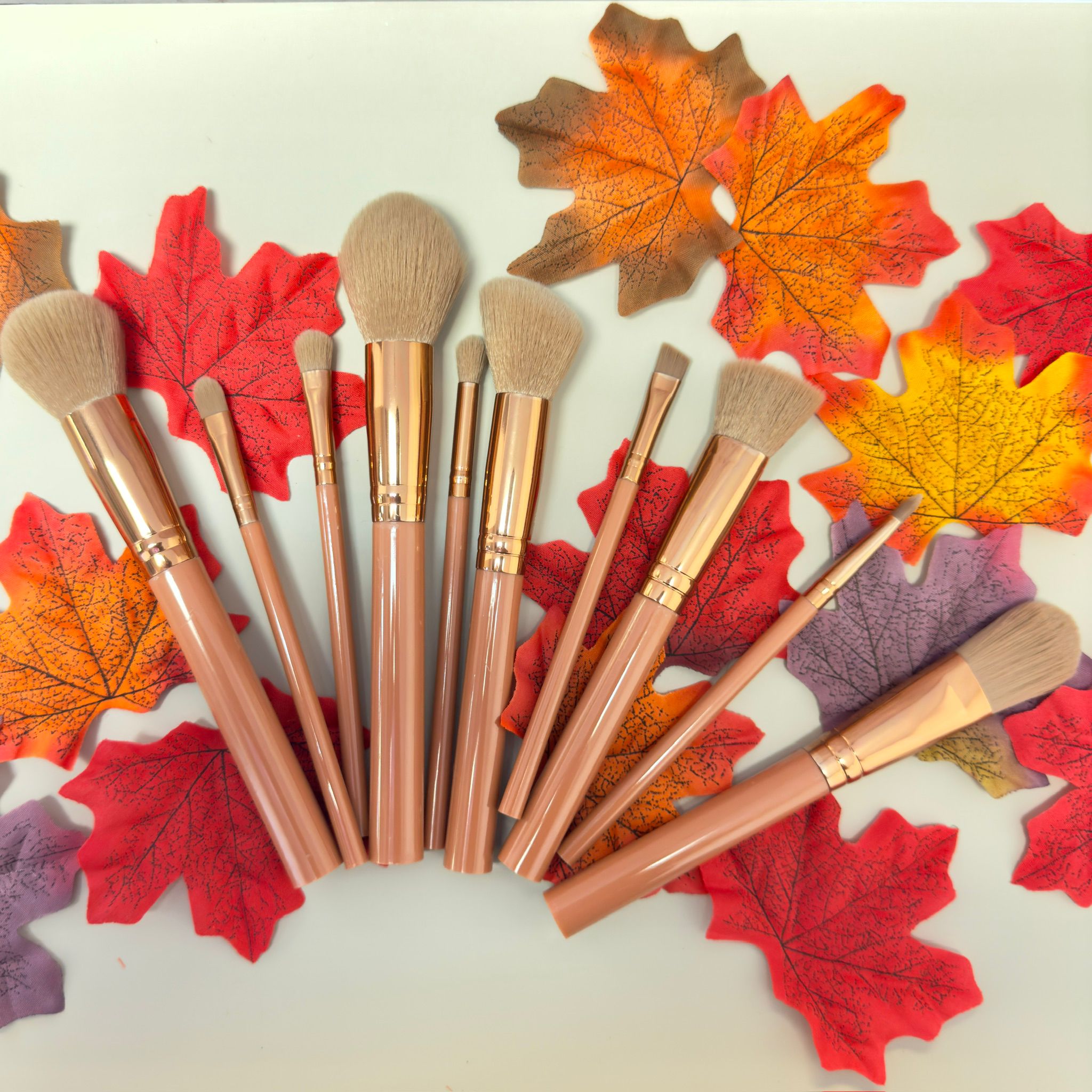 Makeup Brush Set - 10 Piece Makeup Brush Collection