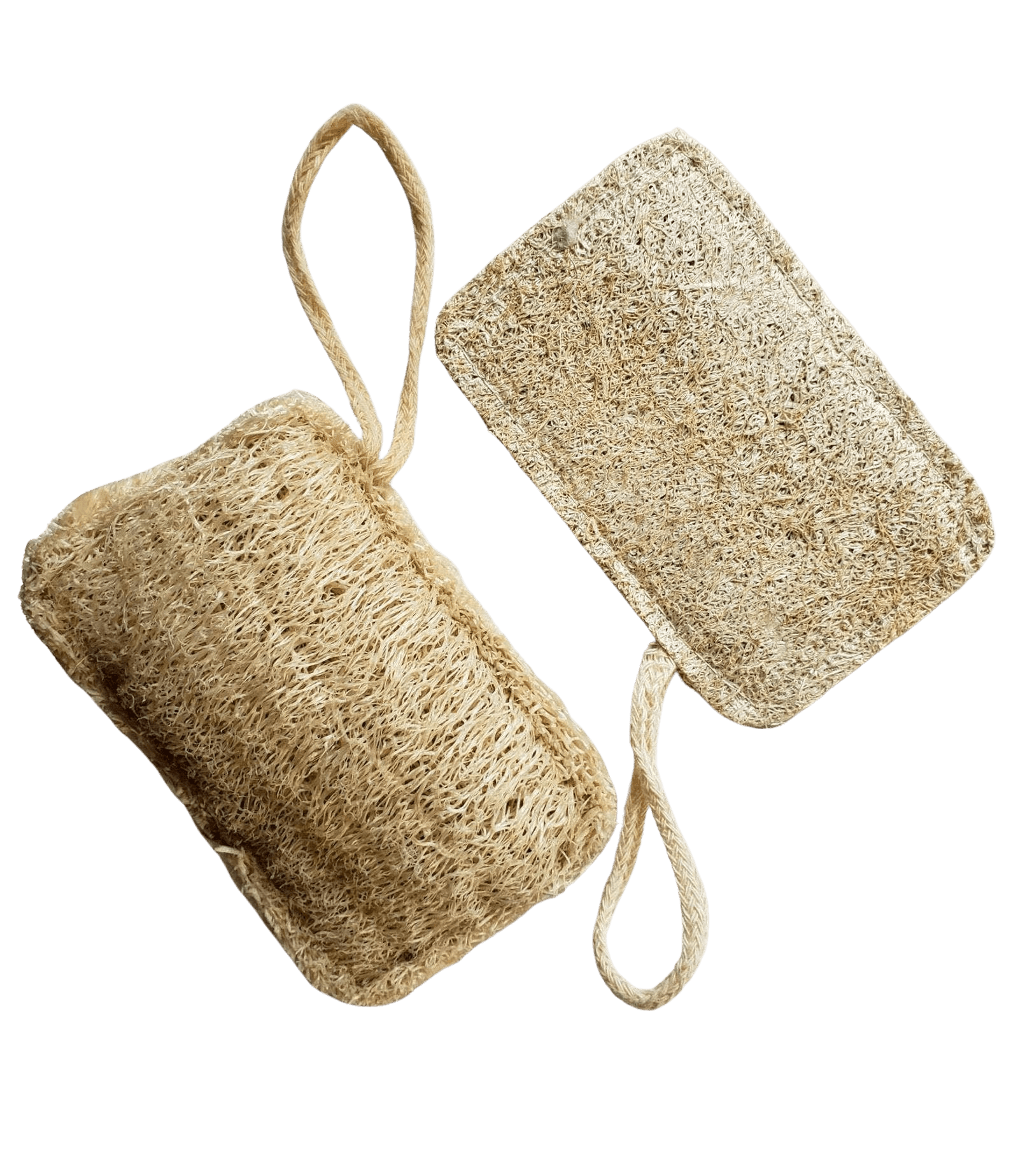 TOA WATERS Natural Loofah Sponge