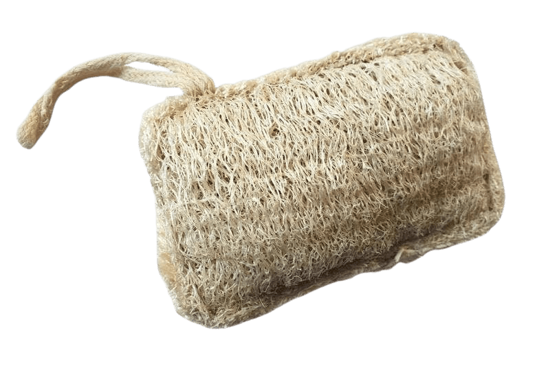 TOA WATERS Natural Loofah Sponge