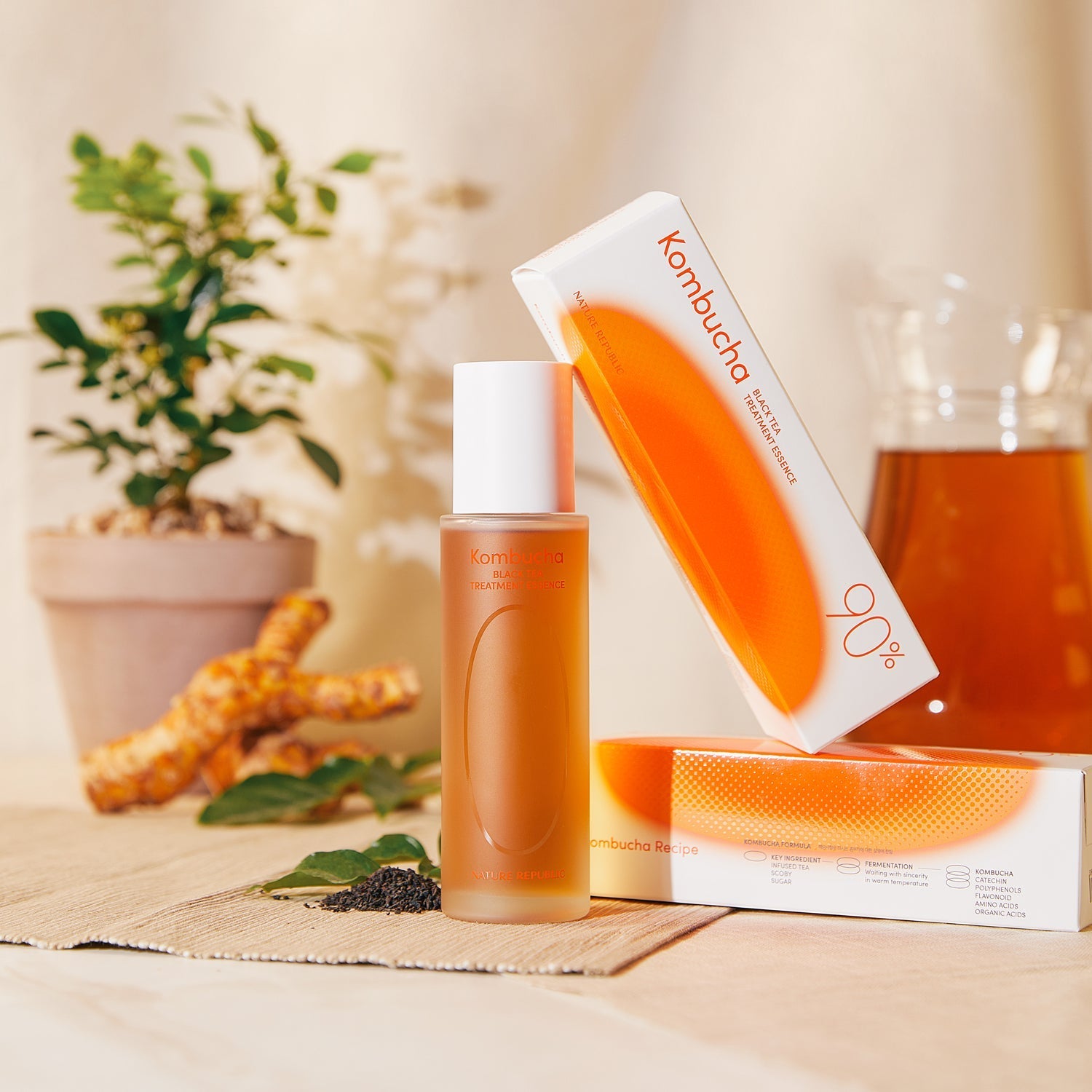 Kombucha Black Tea The First Essence