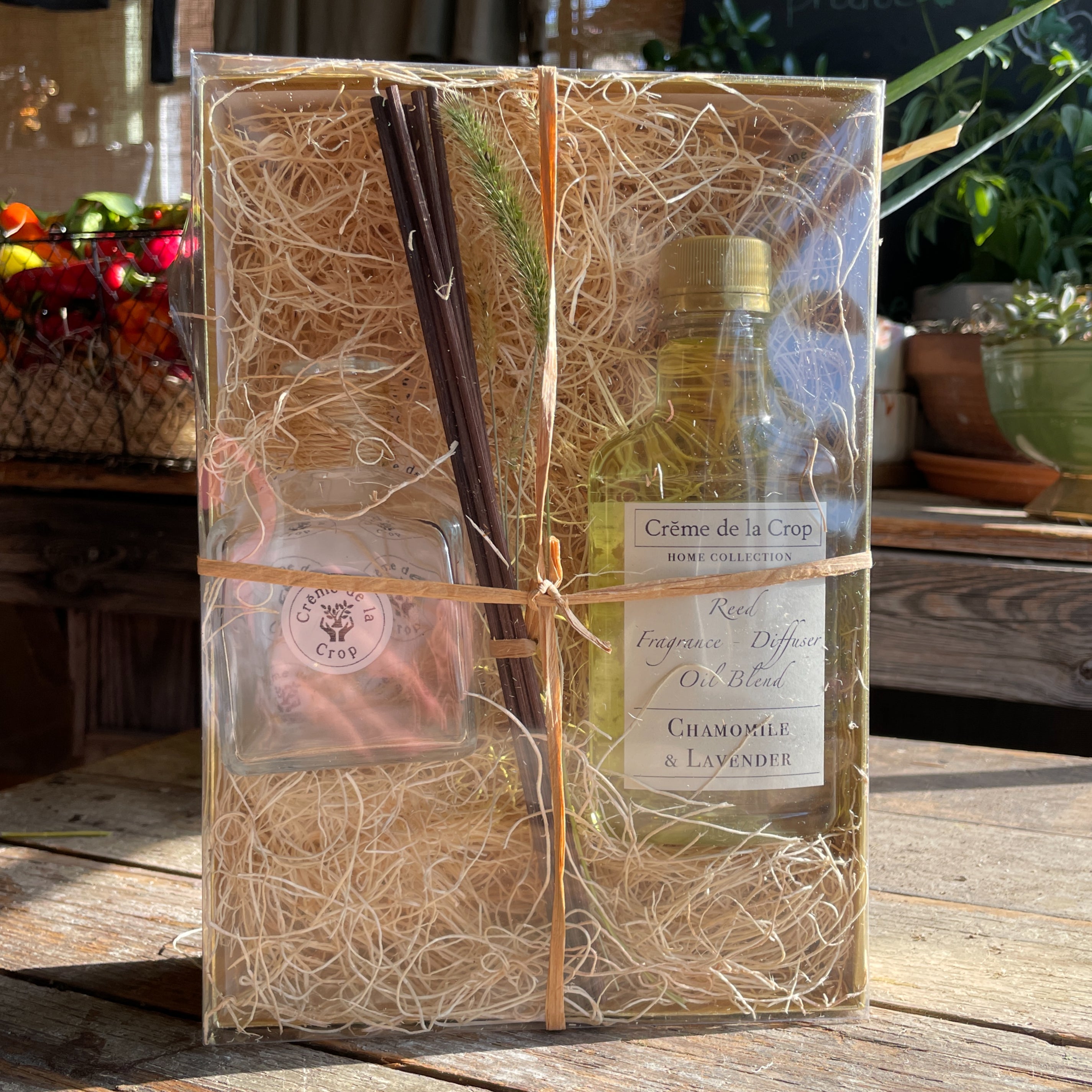 Reed Fragrance - Diffuser, Starter Kit - Juniper & Blue Spruce