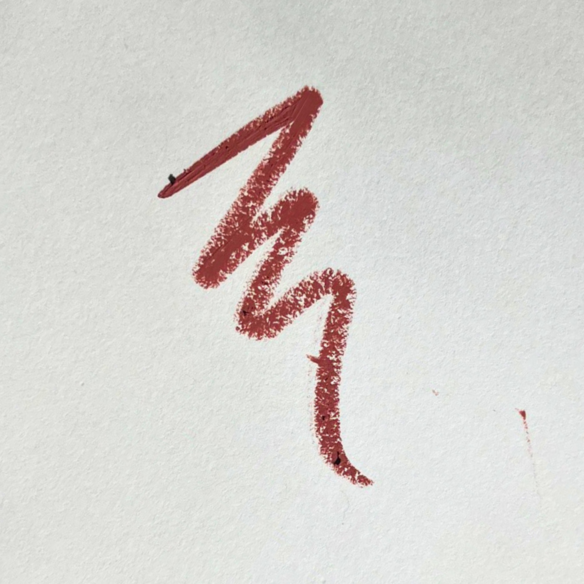 PINK LIPPS CO. Rose Brown Lip Liner