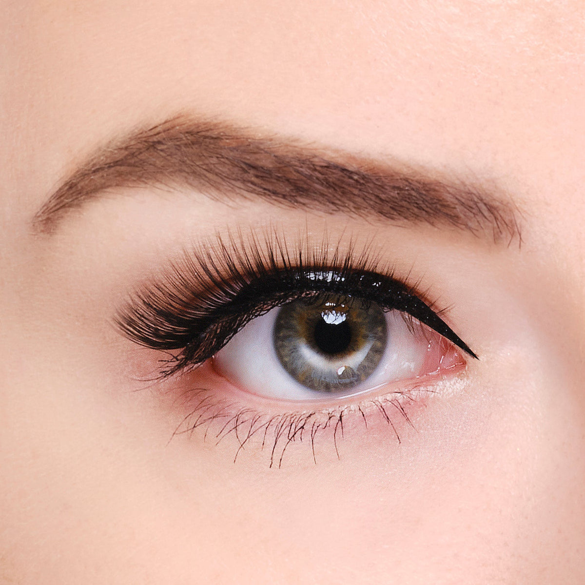 Synthetic Eyelashes - Roxy – VIAI BEAUTY
